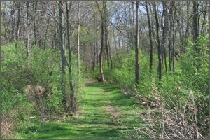 Trails in the Holland Area 26
